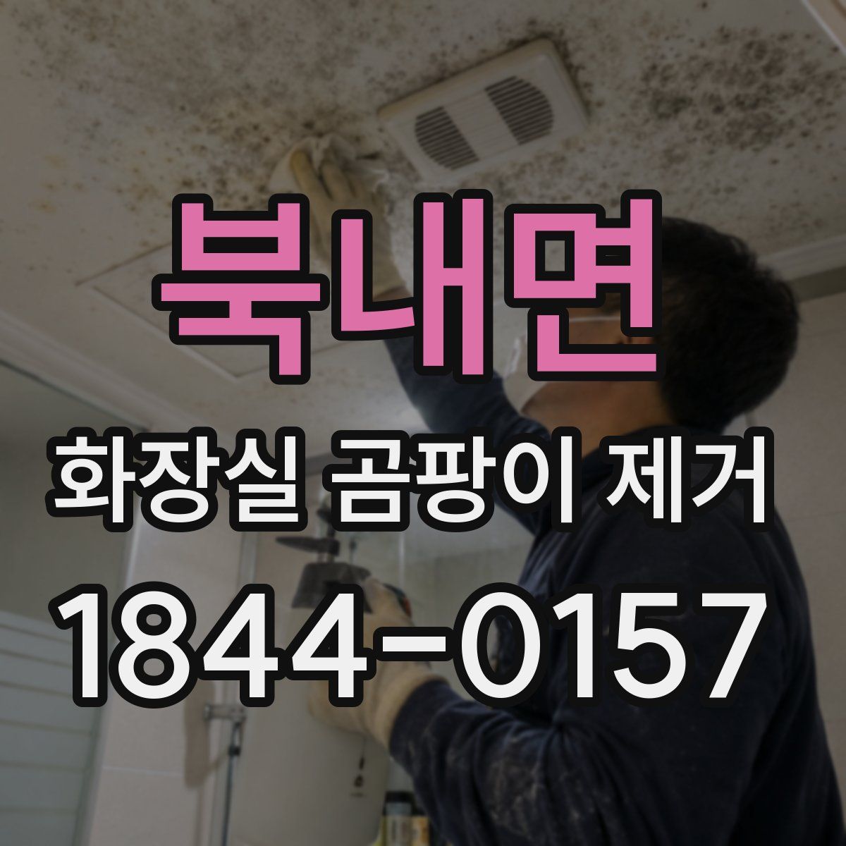 북내면 화장실 곰팡이 제거