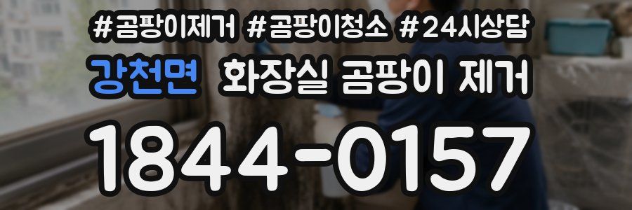 강천면 화장실 곰팡이 제거