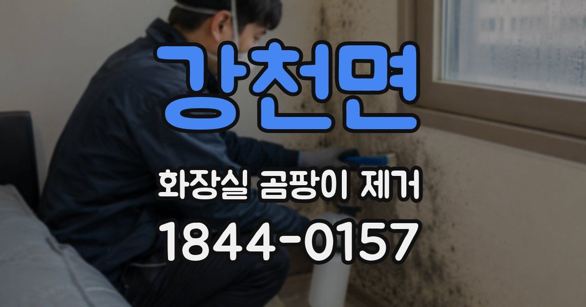 강천면 화장실 곰팡이 제거