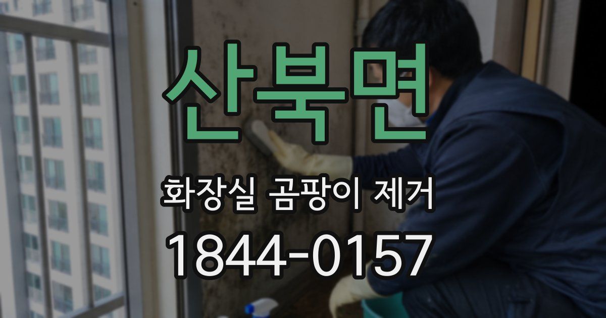 산북면 화장실 곰팡이 제거
