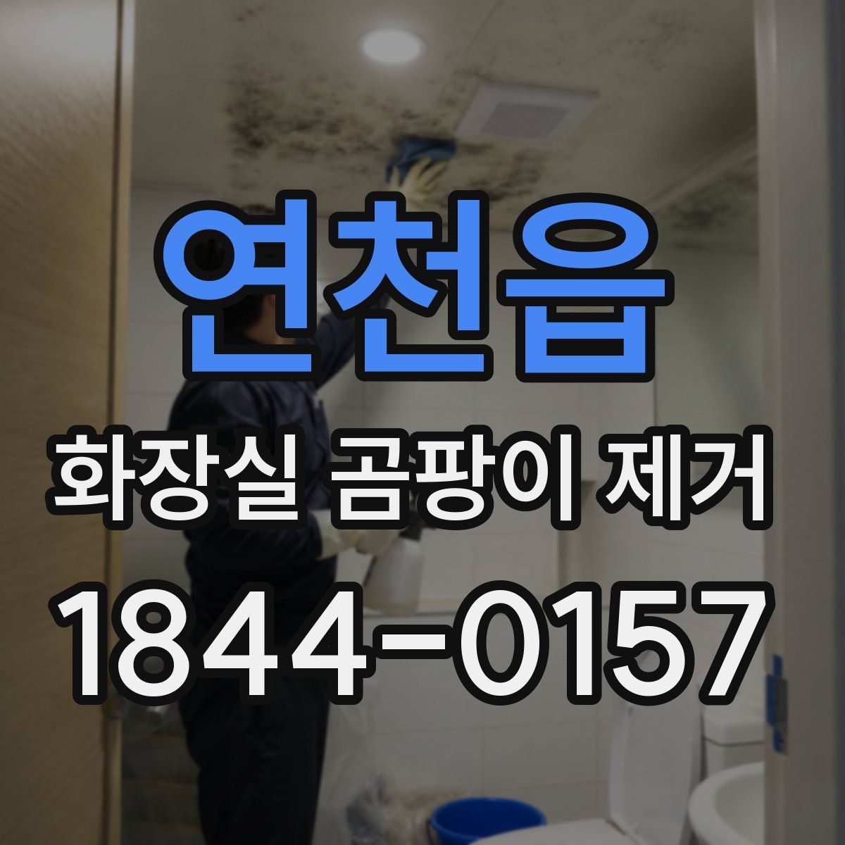 연천읍 화장실 곰팡이 제거