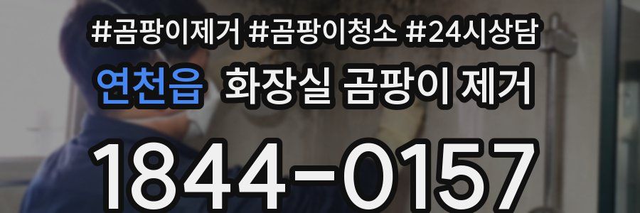 연천읍 화장실 곰팡이 제거
