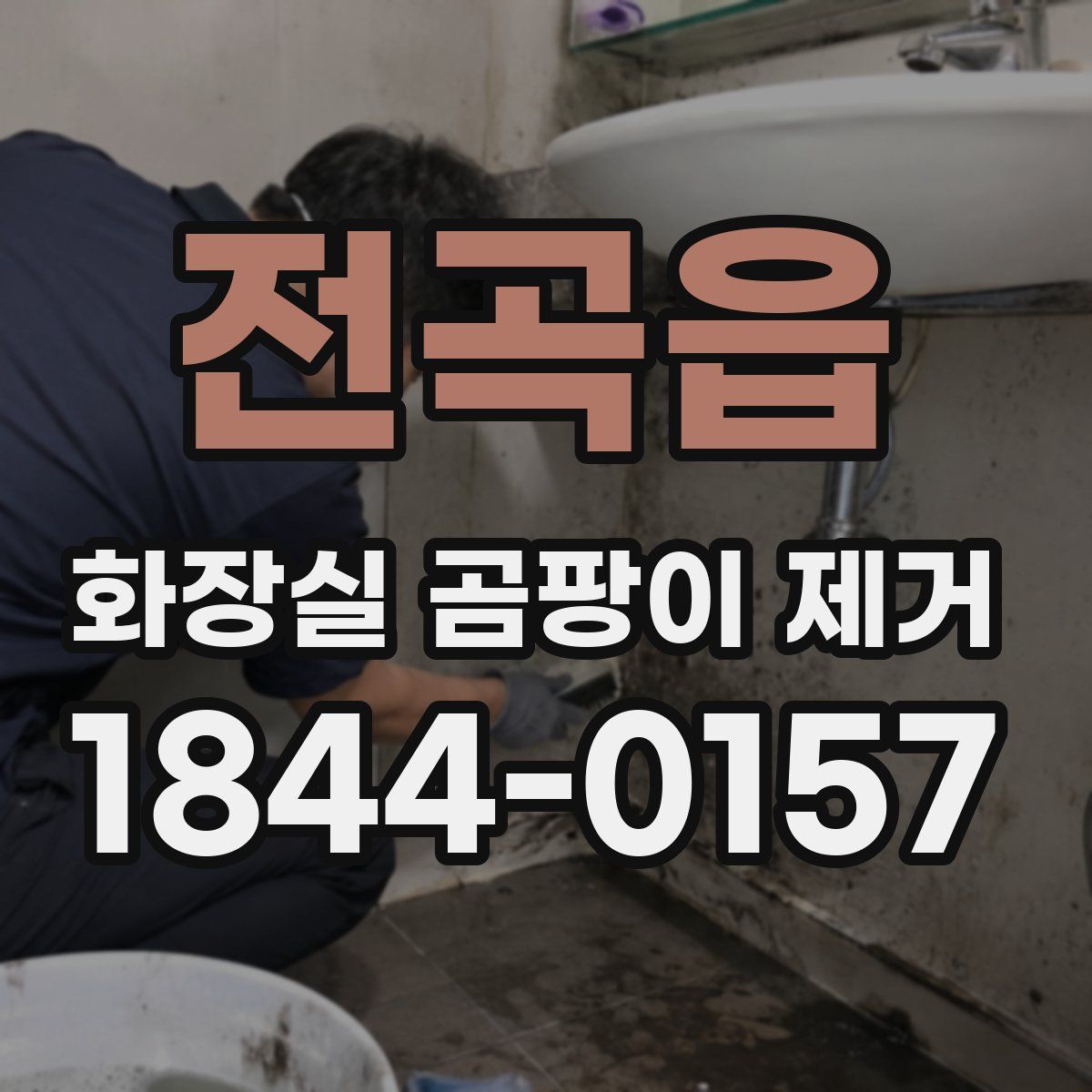 전곡읍 화장실 곰팡이 제거