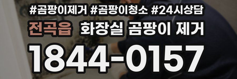 전곡읍 화장실 곰팡이 제거