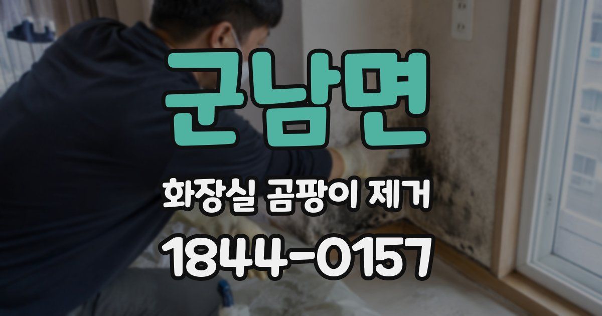 군남면 화장실 곰팡이 제거