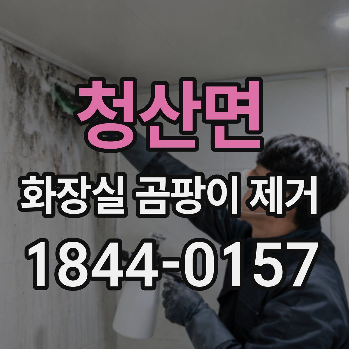 청산면 화장실 곰팡이 제거