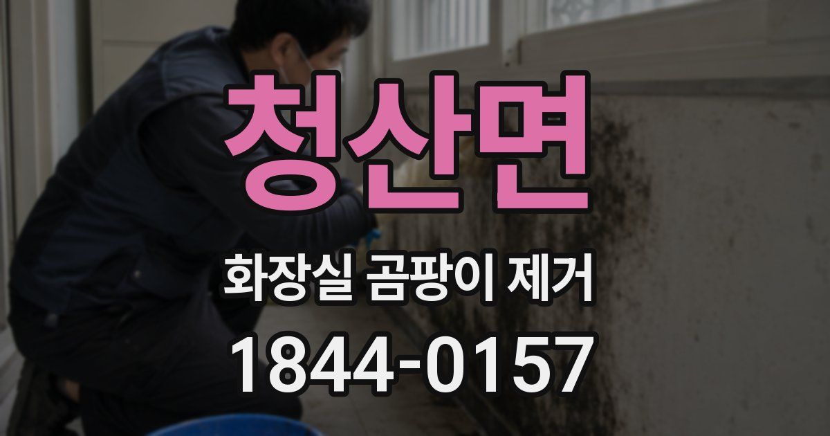 청산면 화장실 곰팡이 제거
