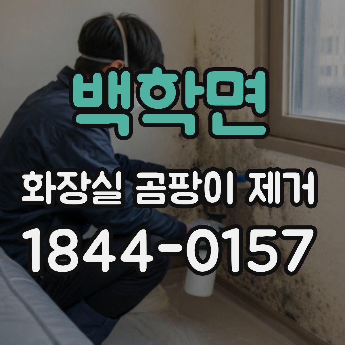 백학면 화장실 곰팡이 제거
