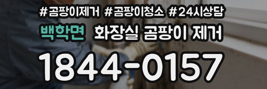 백학면 화장실 곰팡이 제거