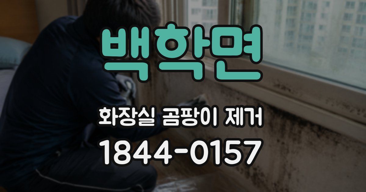 백학면 화장실 곰팡이 제거