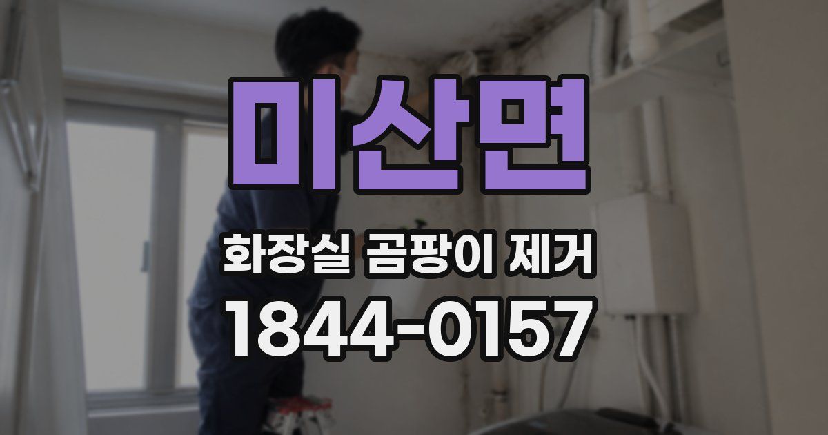 미산면 화장실 곰팡이 제거