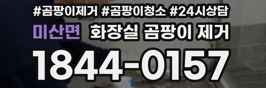 미산면 화장실 곰팡이 제거