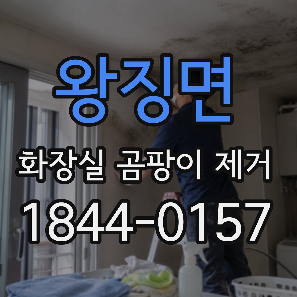 왕징면 화장실 곰팡이 제거