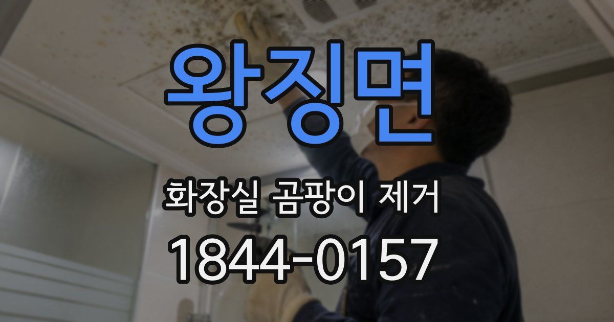 왕징면 화장실 곰팡이 제거
