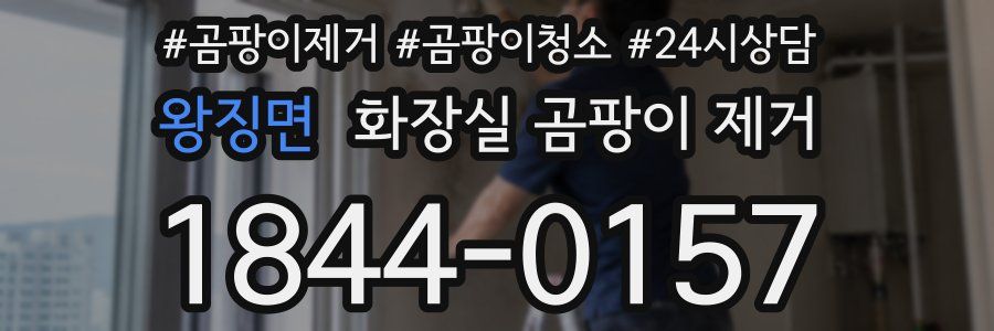 왕징면 화장실 곰팡이 제거