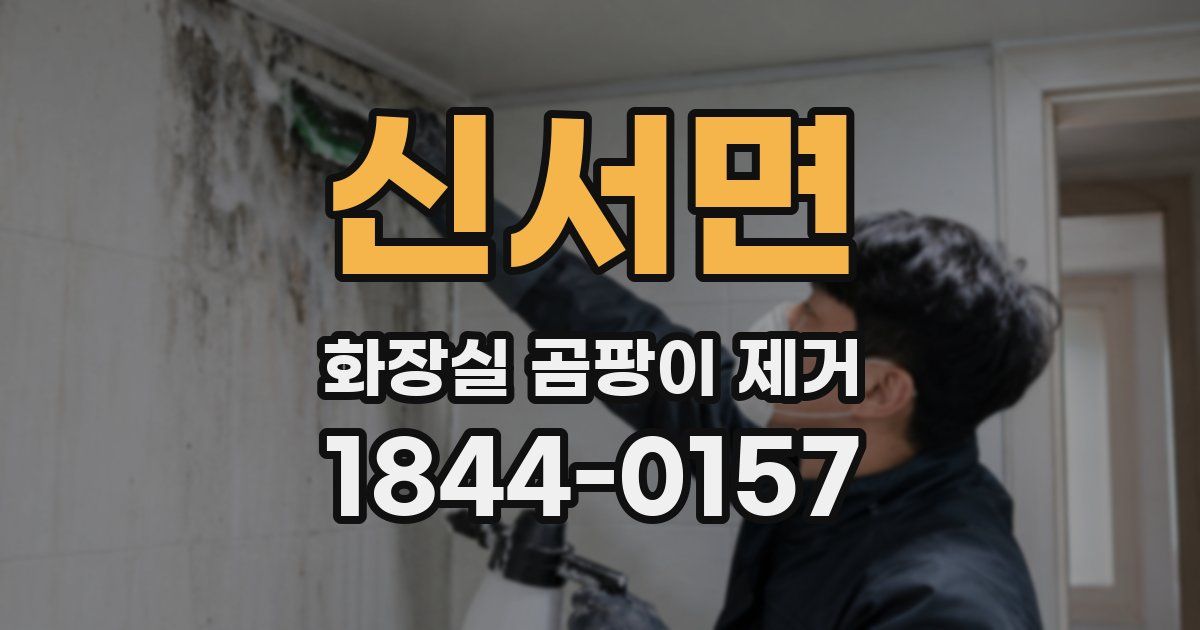 신서면 화장실 곰팡이 제거