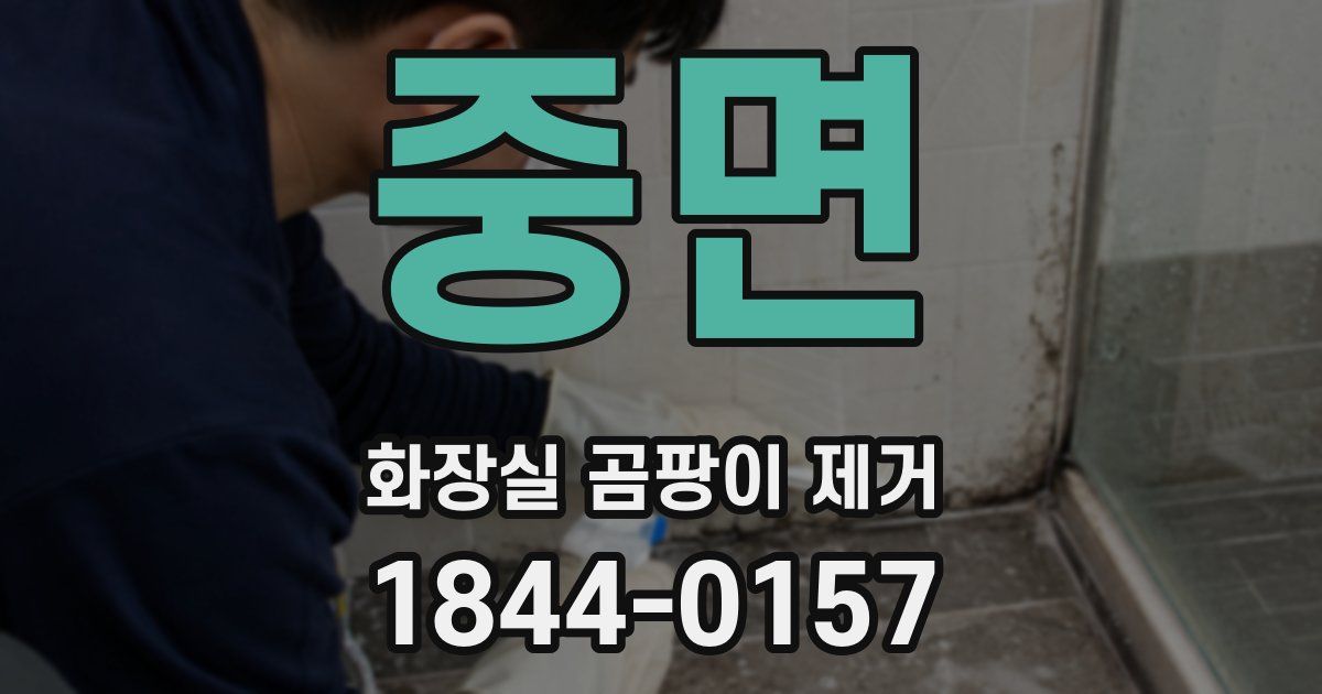 중면 화장실 곰팡이 제거