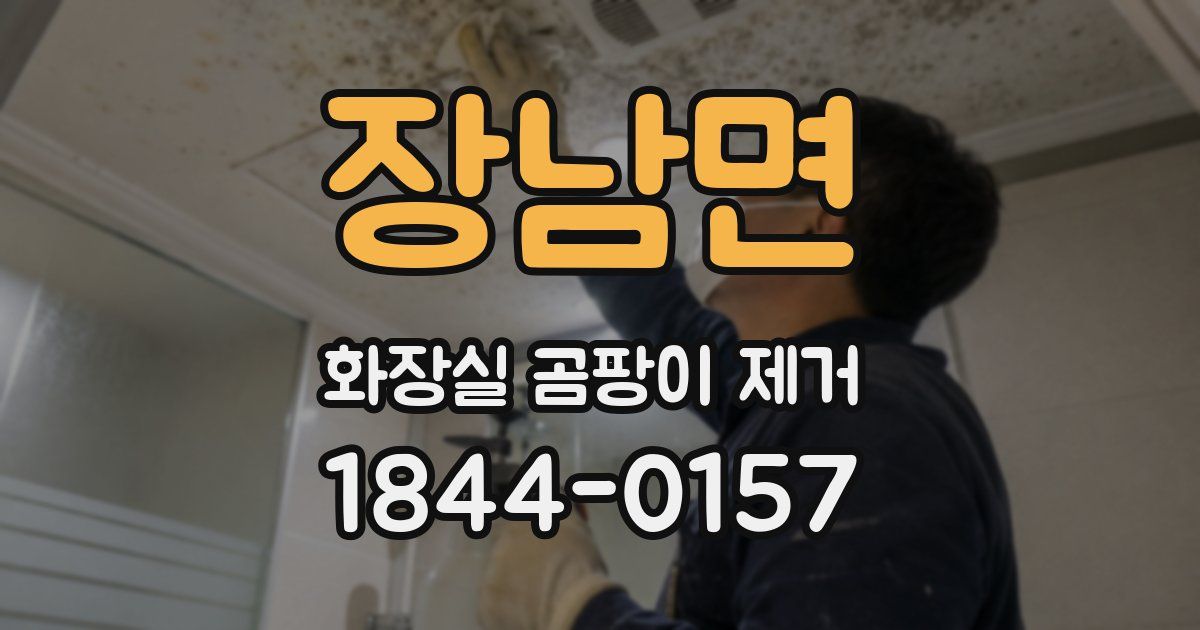 장남면 화장실 곰팡이 제거