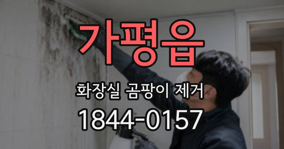 가평읍 화장실 곰팡이 제거