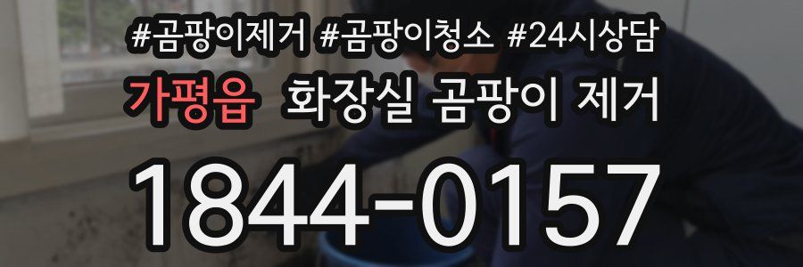 가평읍 화장실 곰팡이 제거