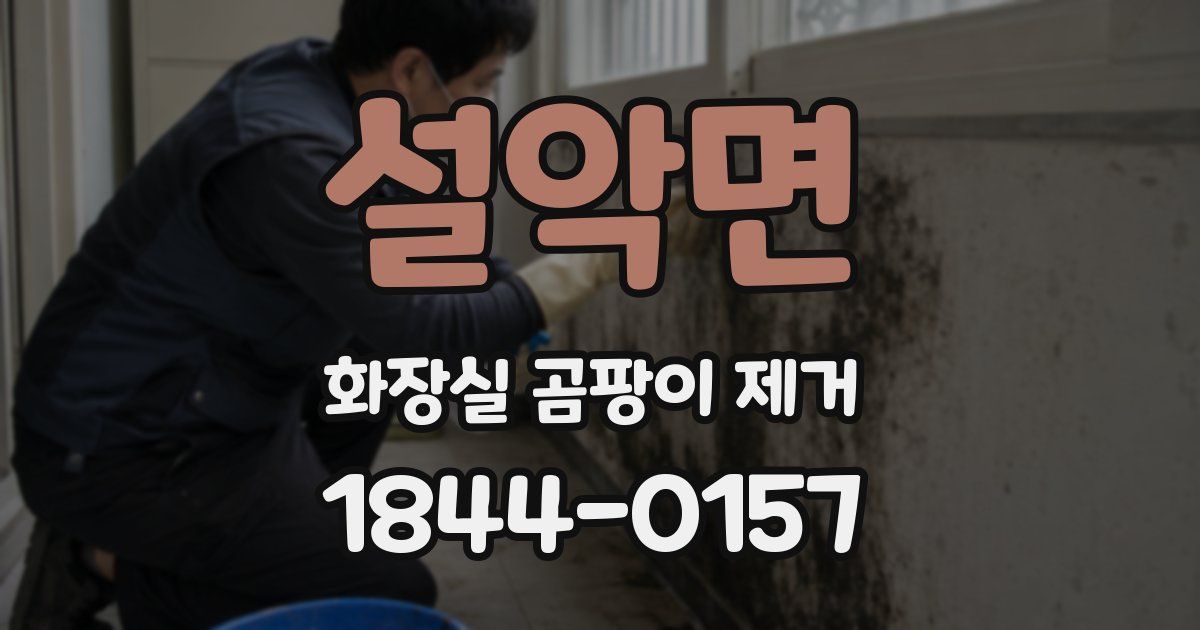 설악면 화장실 곰팡이 제거