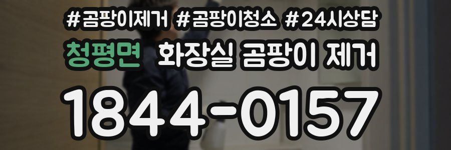 청평면 화장실 곰팡이 제거