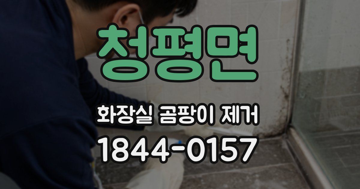 청평면 화장실 곰팡이 제거