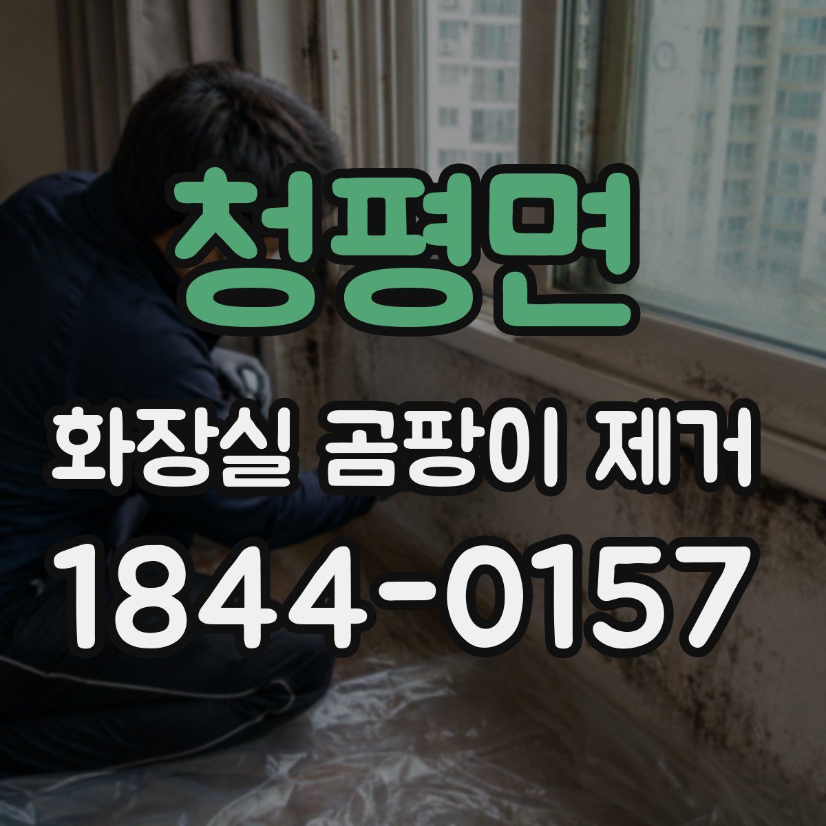 청평면 화장실 곰팡이 제거
