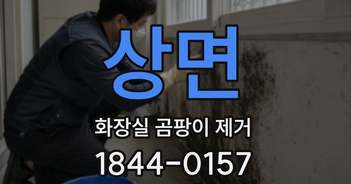 상면 화장실 곰팡이 제거