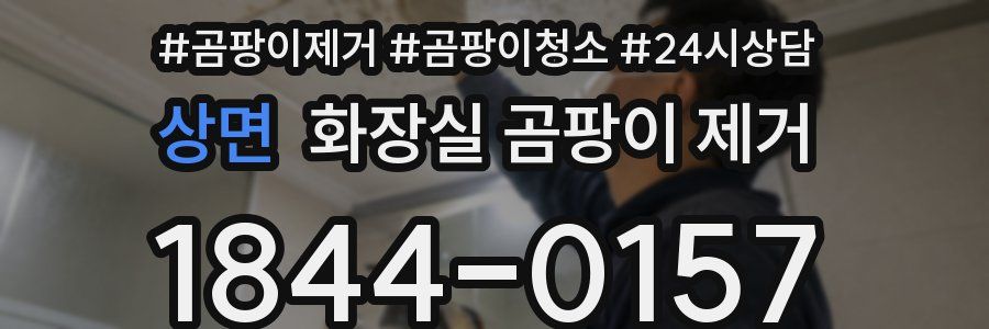 상면 화장실 곰팡이 제거