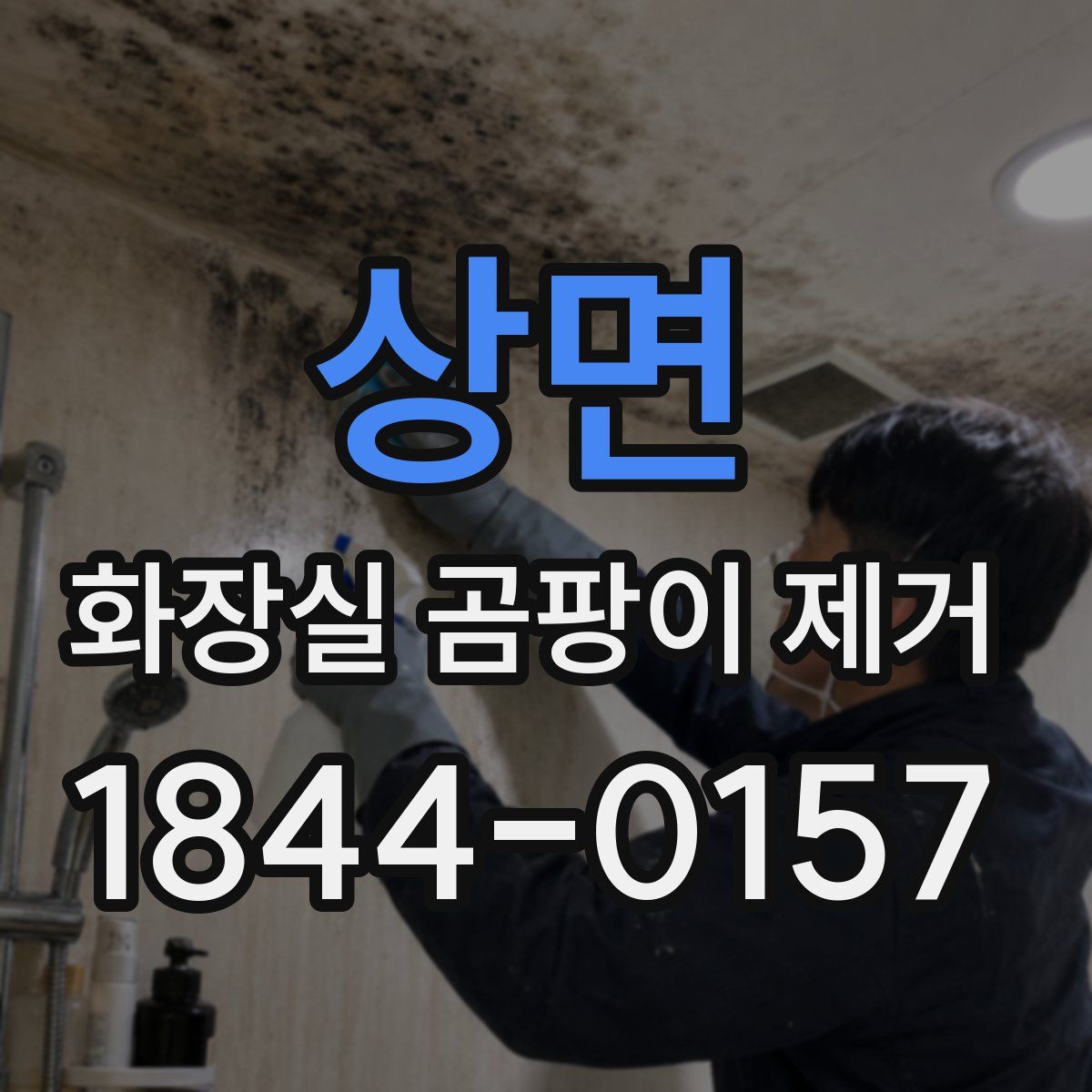 상면 화장실 곰팡이 제거
