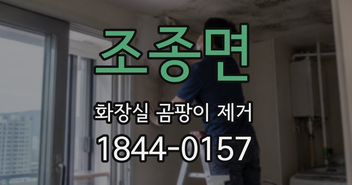 조종면 화장실 곰팡이 제거