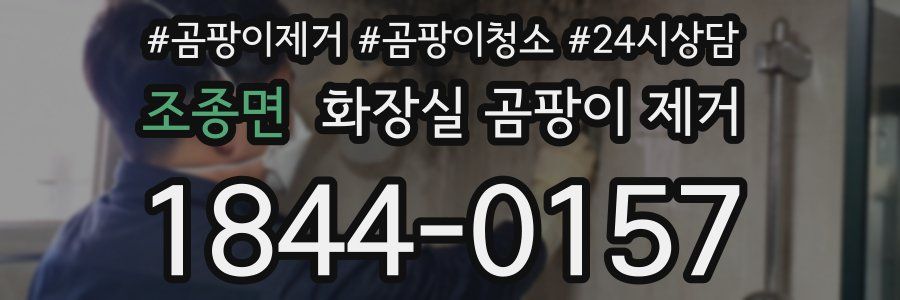 조종면 화장실 곰팡이 제거