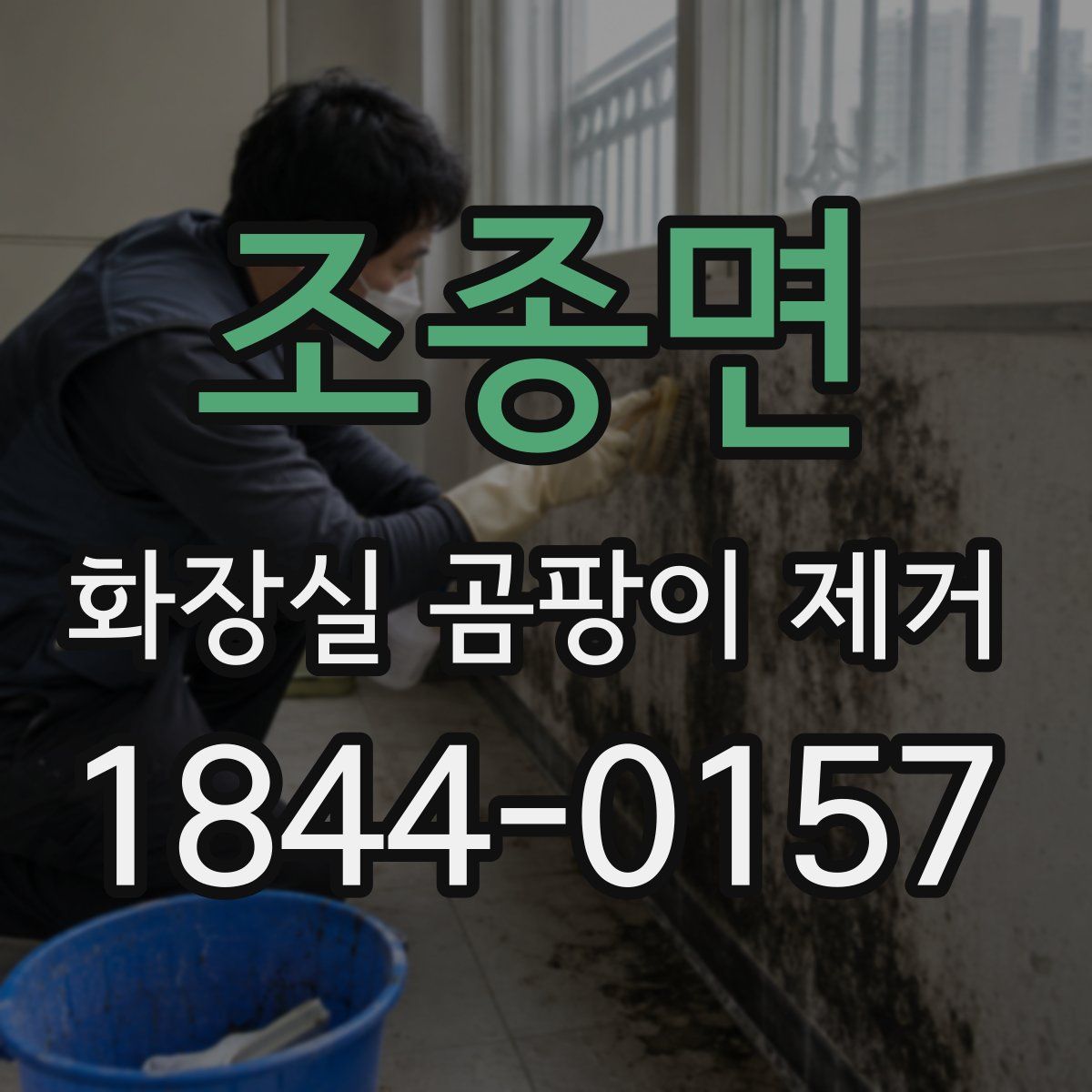 조종면 화장실 곰팡이 제거