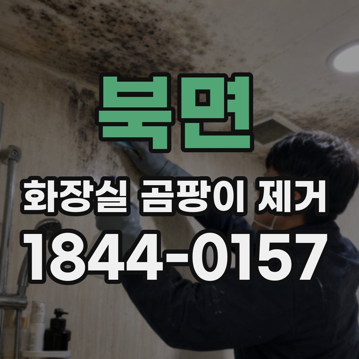 북면 화장실 곰팡이 제거