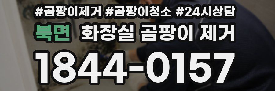 북면 화장실 곰팡이 제거