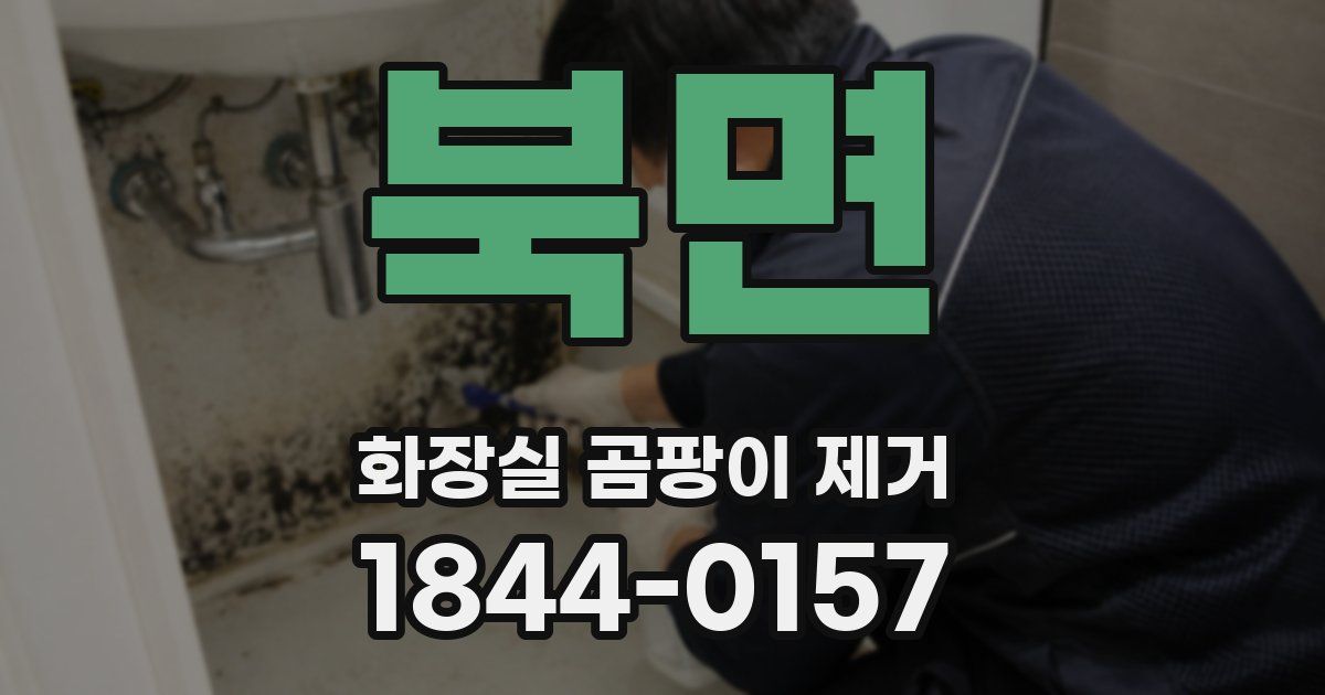 북면 화장실 곰팡이 제거