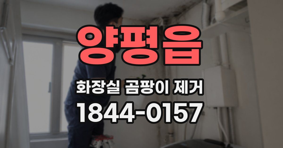 양평읍 화장실 곰팡이 제거