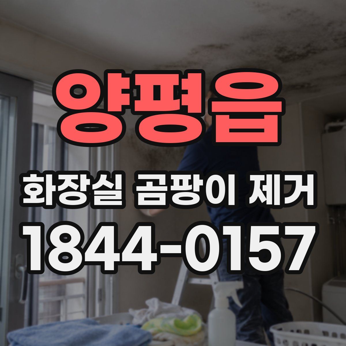 양평읍 화장실 곰팡이 제거