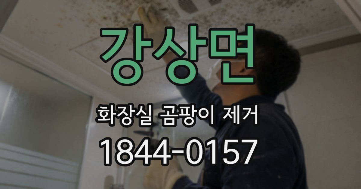 강상면 화장실 곰팡이 제거
