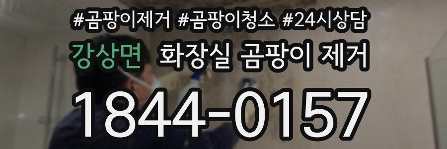 강상면 화장실 곰팡이 제거