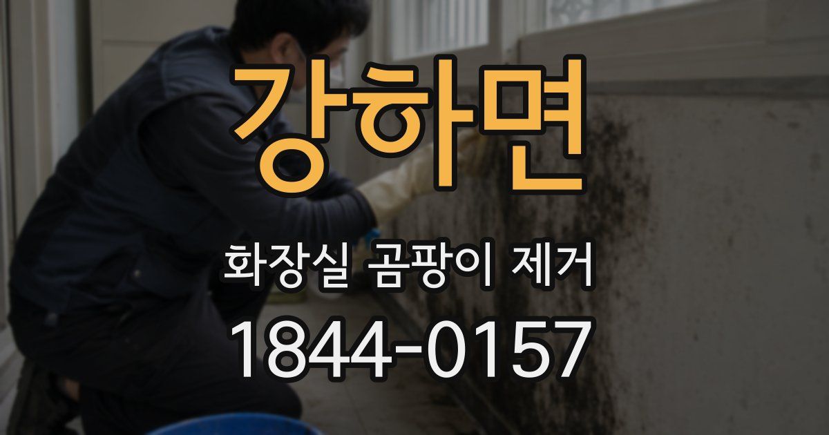 강하면 화장실 곰팡이 제거