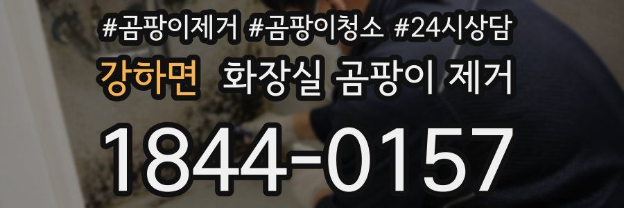 강하면 화장실 곰팡이 제거