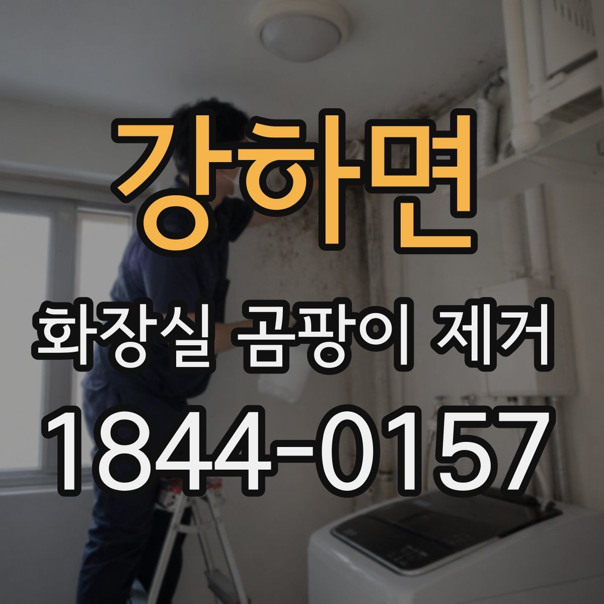 강하면 화장실 곰팡이 제거