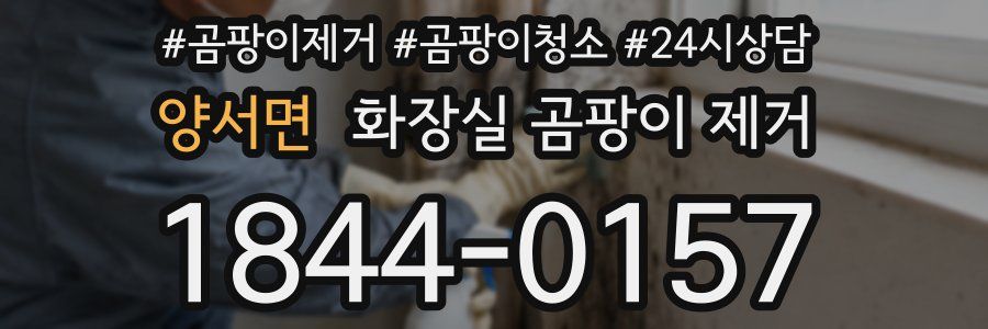 양서면 화장실 곰팡이 제거
