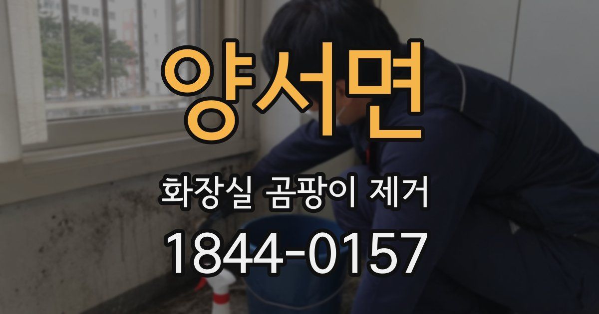 양서면 화장실 곰팡이 제거