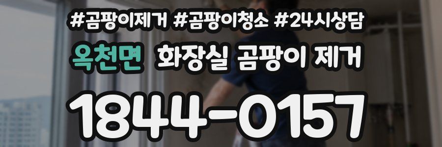 옥천면 화장실 곰팡이 제거