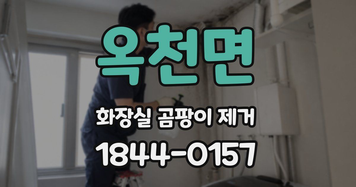 옥천면 화장실 곰팡이 제거