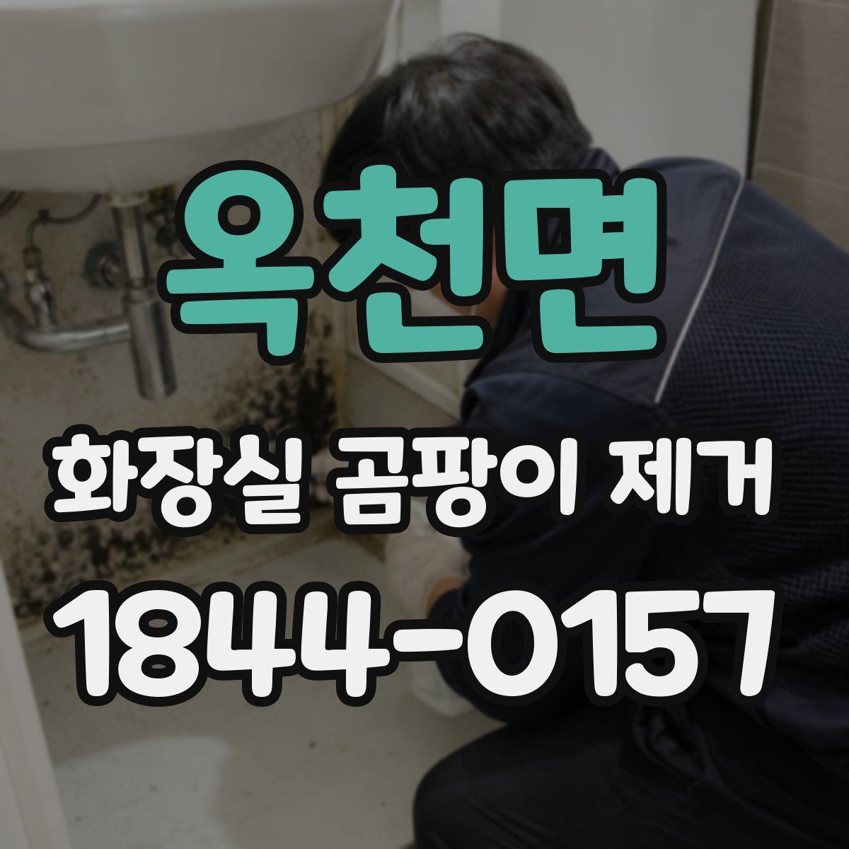 옥천면 화장실 곰팡이 제거