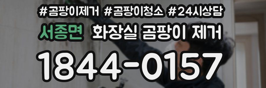 서종면 화장실 곰팡이 제거